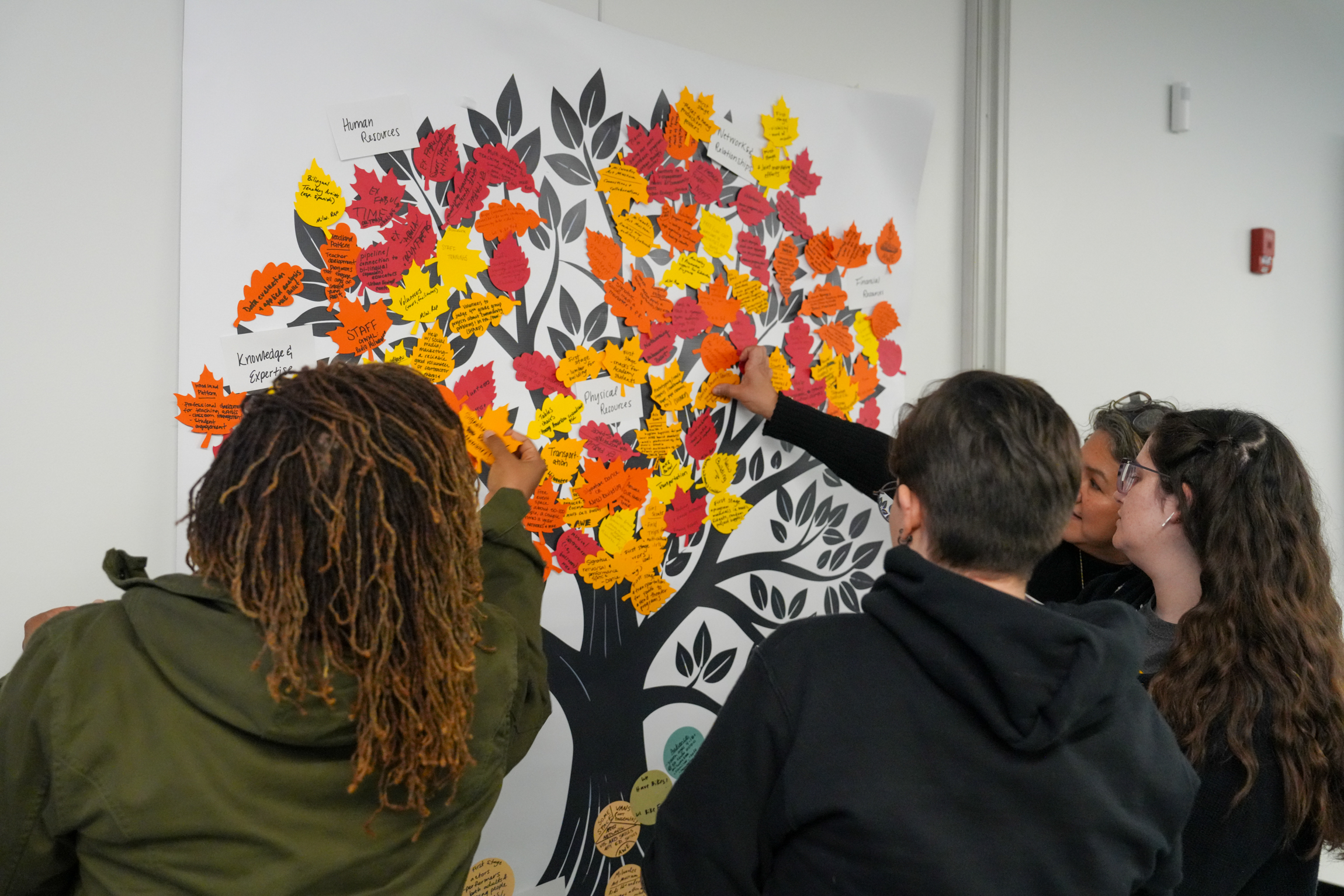 Connected Roots Summit Project