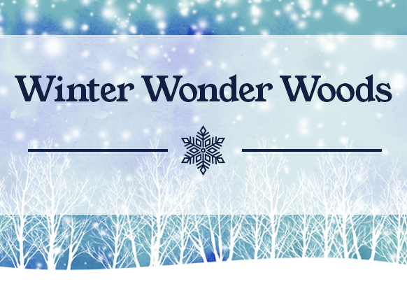 Winter Wonder Woods Winter Wonder Woods