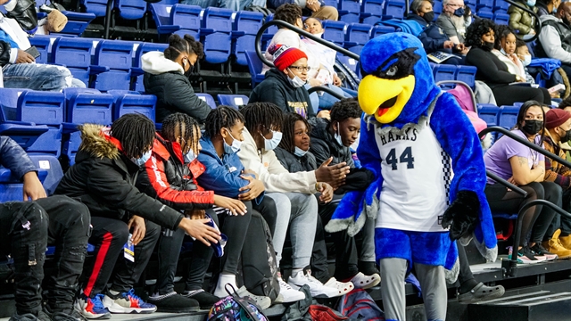 MSL Mascot